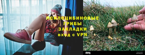 ешки Абдулино