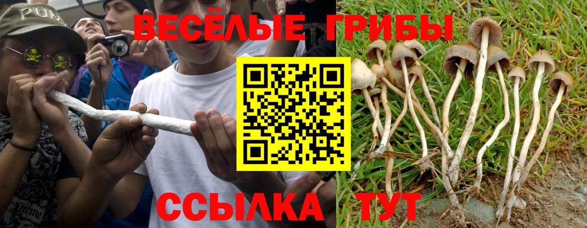Галлюциногенные грибы мухоморы Советский